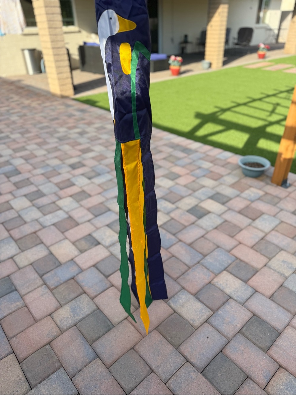 Windsock - Picture 5 of 7